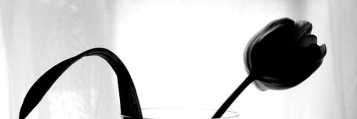 mayelavazquez's profile banner image