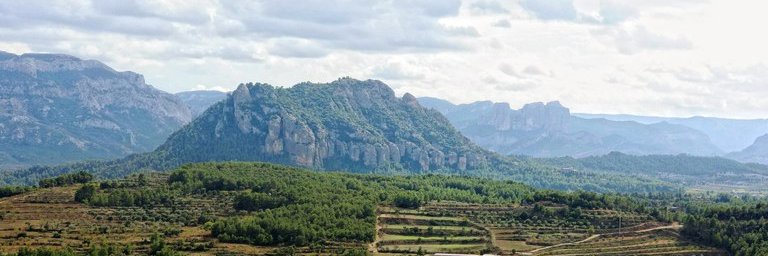 CIS Ribera d'Ebre - Terra Alta banner