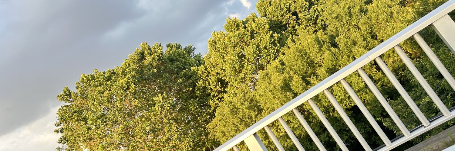 naa~ banner