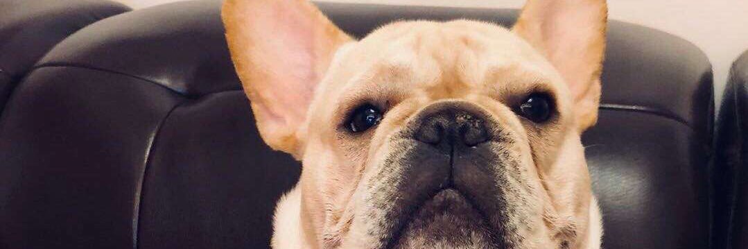 YanLSir's profile banner image