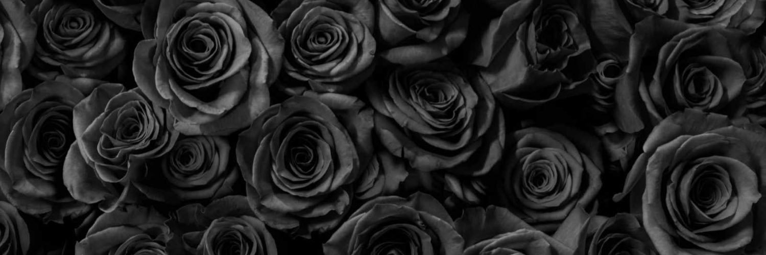 nikitapedro's profile banner image