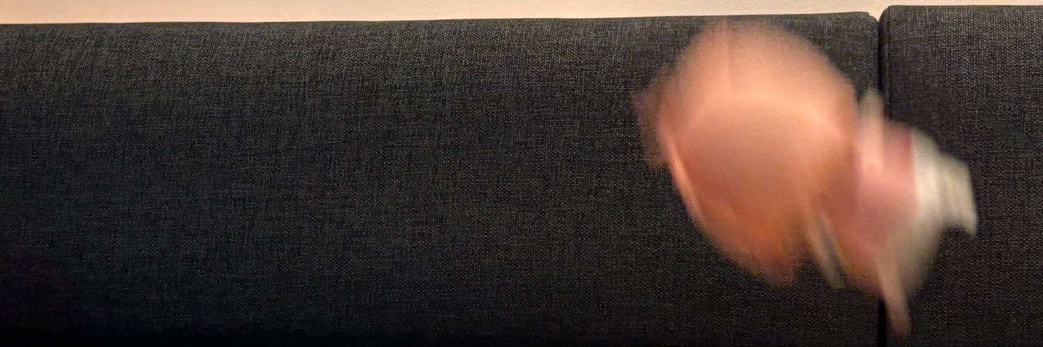 wennnaa's profile banner image