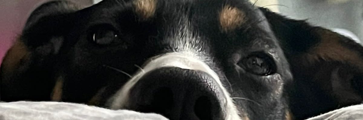 97815fmpl's profile banner image
