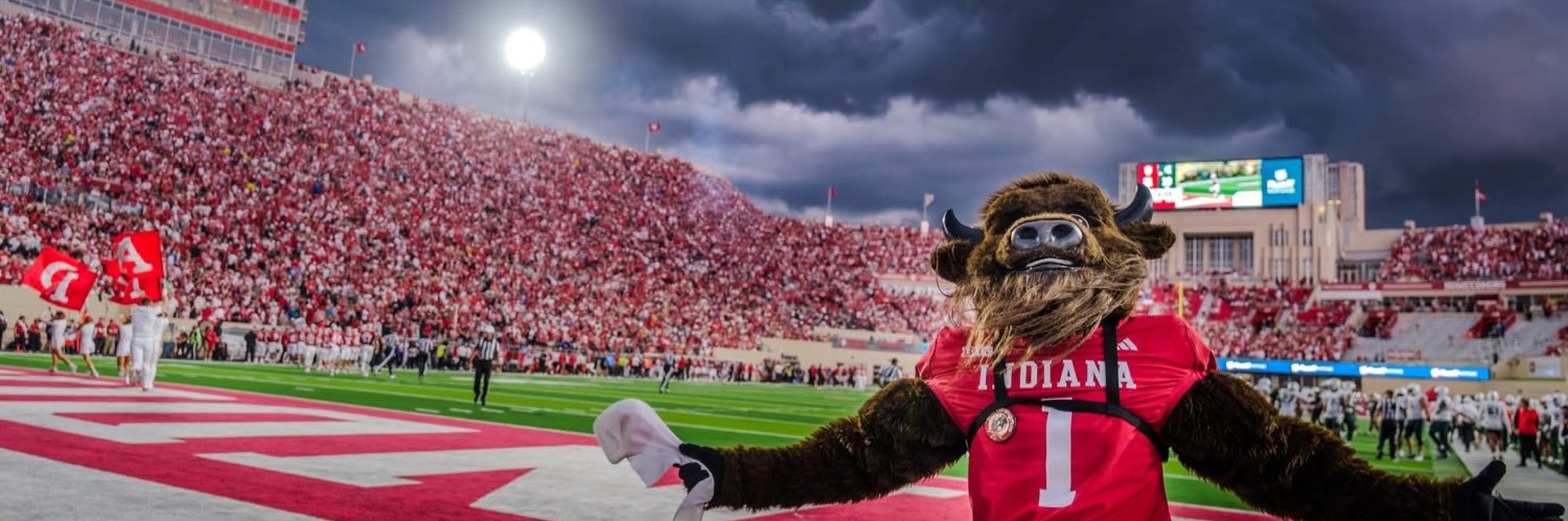 Big Boy Bison banner