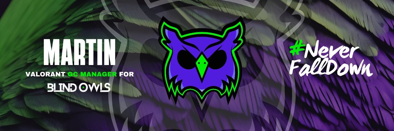 Martin banner
