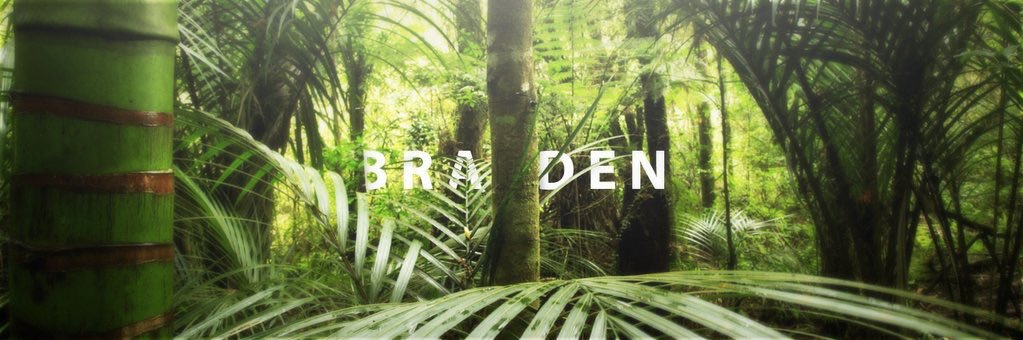 Brejini's profile banner image
