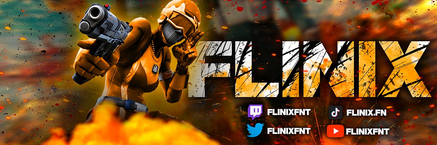 DTW Flinix banner