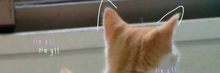 Astre🌷（人妻版 banner