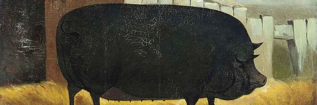 Black Hog down banner