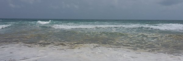 sheilagf Profile Banner