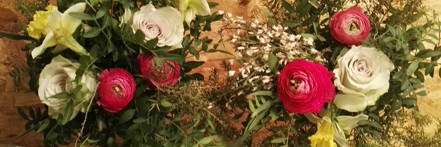 anamatesanz's profile banner image