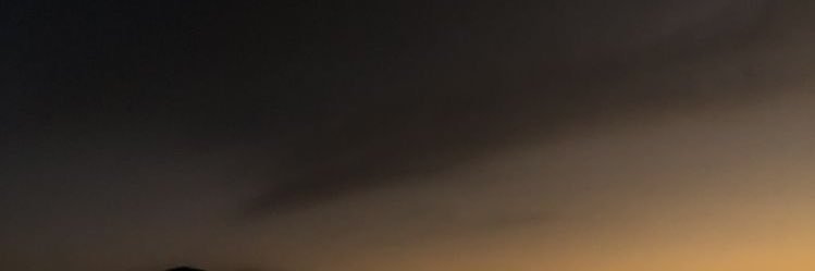 merry jane banner