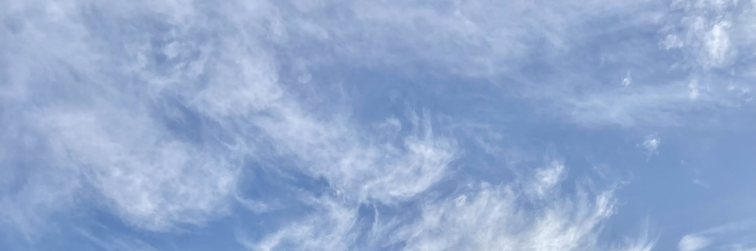 mareeiy's profile banner image