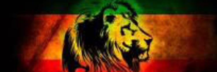 gameday4492's profile banner image