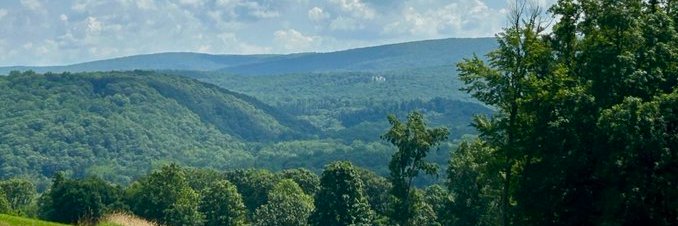 Jackie Freemason banner