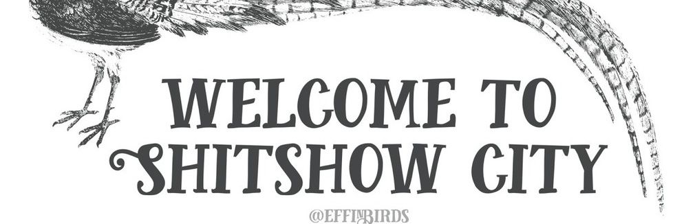flyingryndeer's profile banner image