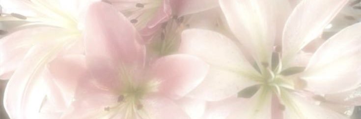 𓈒 ୨ৎ tɑshyɑ ─ 🩰 banner