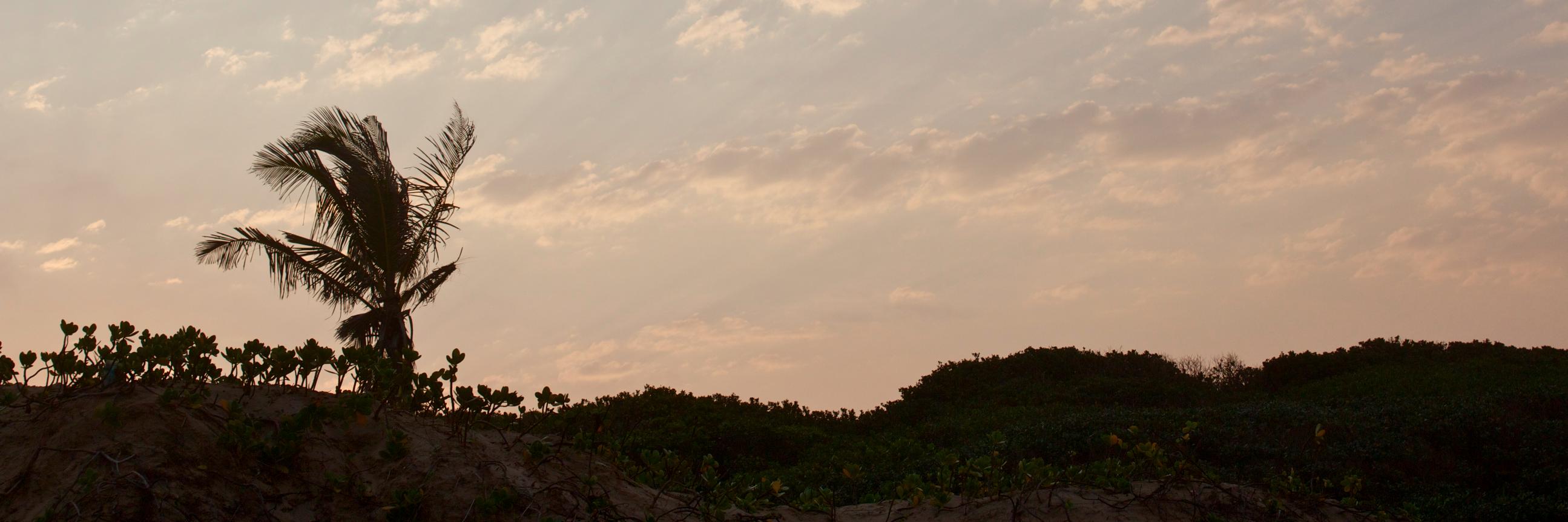 MrJasonGaines's profile banner image