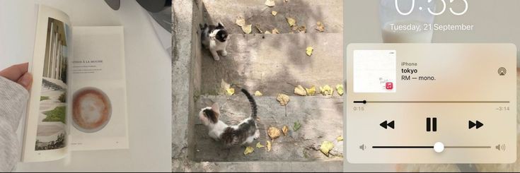 ✧ irish ✧ banner