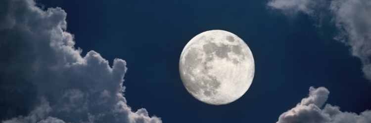 yaduvansham13's profile banner image