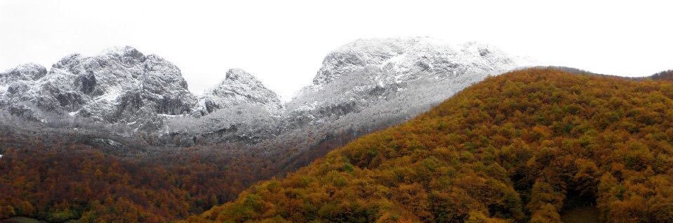 José Suárez Arias-Cachero. Felechosa banner