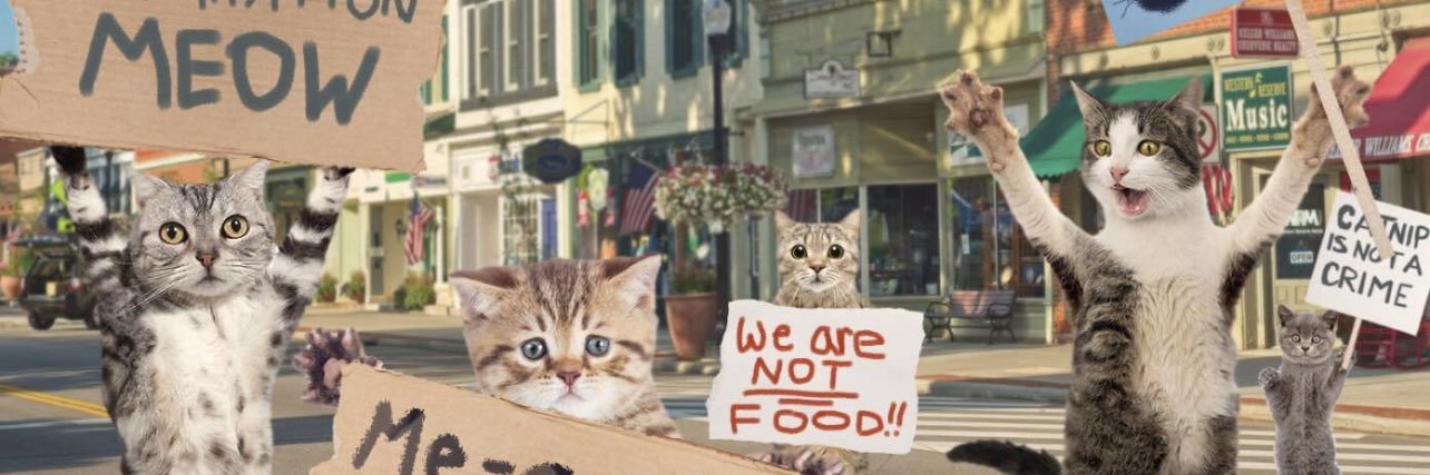 Crazy Cat Lady's banner
