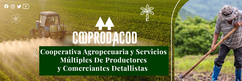 cooprodacod's profile banner image