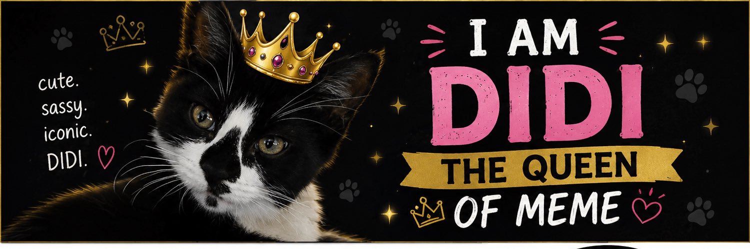 DIDI CAT (The Queen of Meme) banner