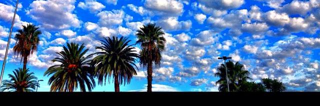 Luis E. Molina banner