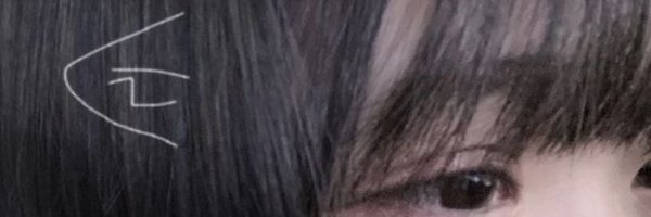 MekaMeka75145 Profile Banner