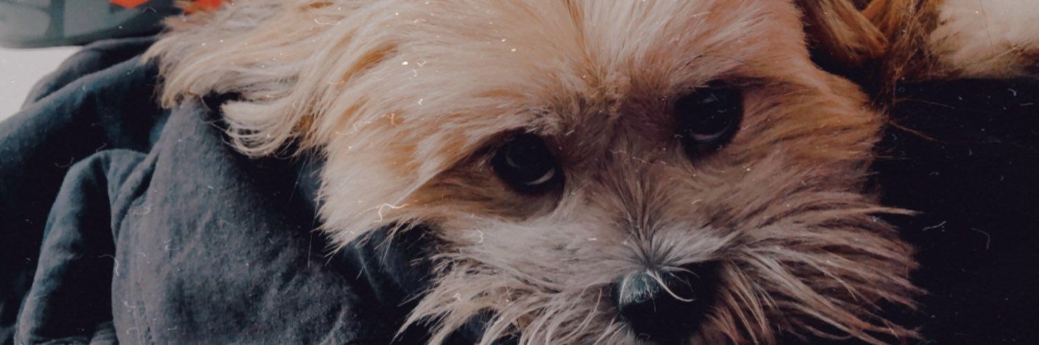 gabsmoretti's profile banner image