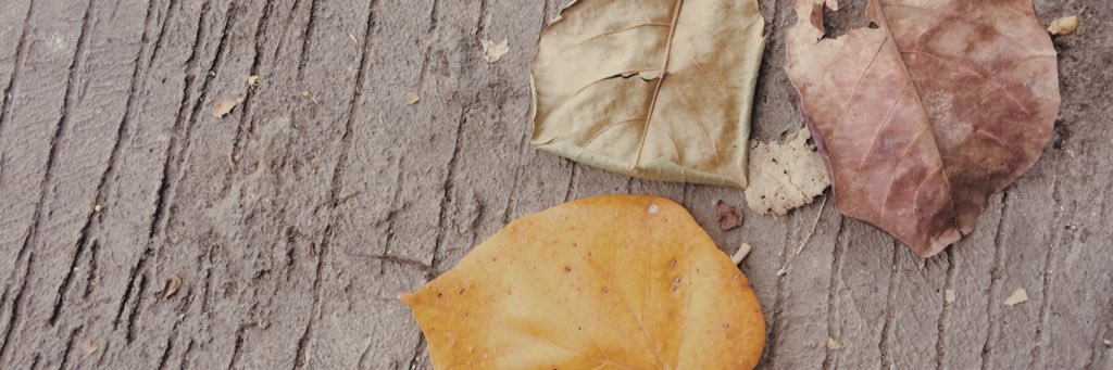 fiskaramli banner