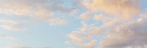 ౨ৎ soph ⟡˖ ࣪'s banner
