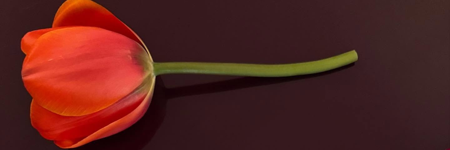 JanesPages1ol's profile banner image