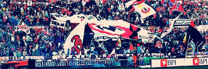 zeca banner