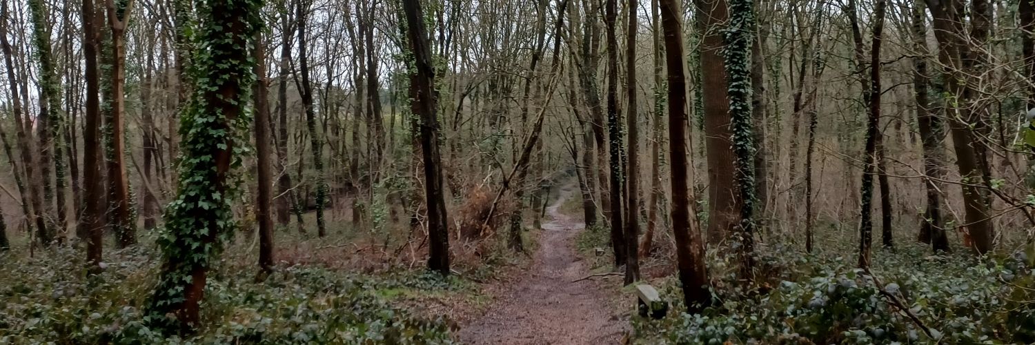 Peregrin_Touque⚜️🔴⚪️ banner