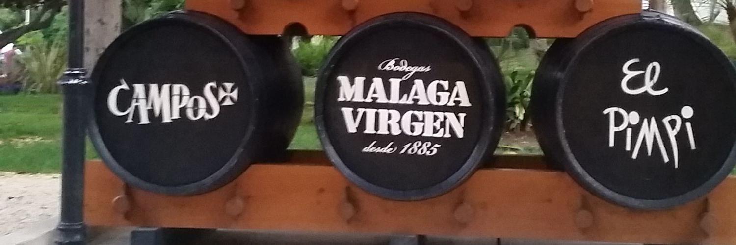 malucodan's profile banner image