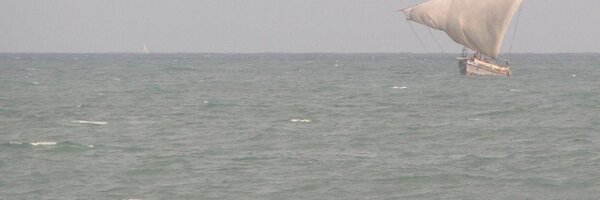 ErikvanSebille Profile Banner