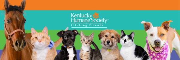 kyhumane Profile Banner
