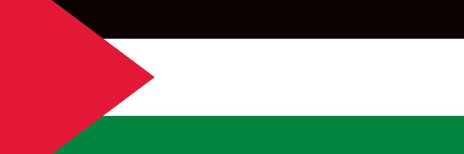 MUN Students 4 Palestine banner