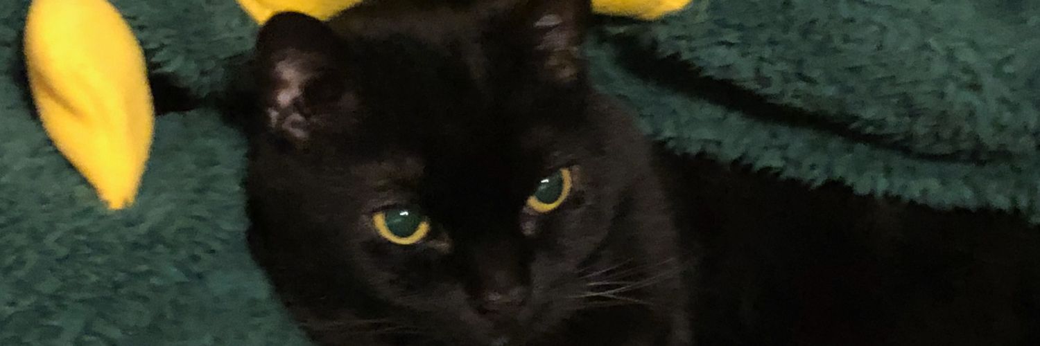 CouplesWatching's profile banner image