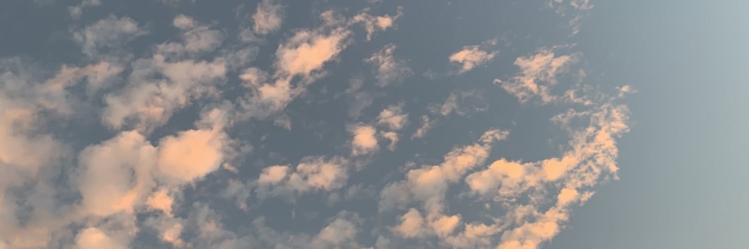 Ⓥ banner