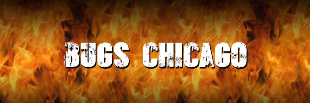 IG:@BugsChicago banner