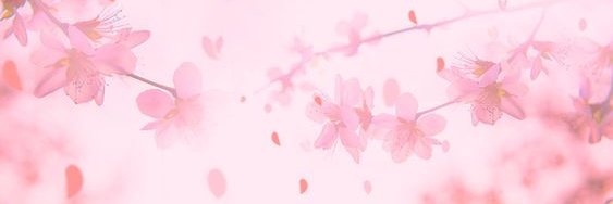 skye 🏳️‍⚧️ banner