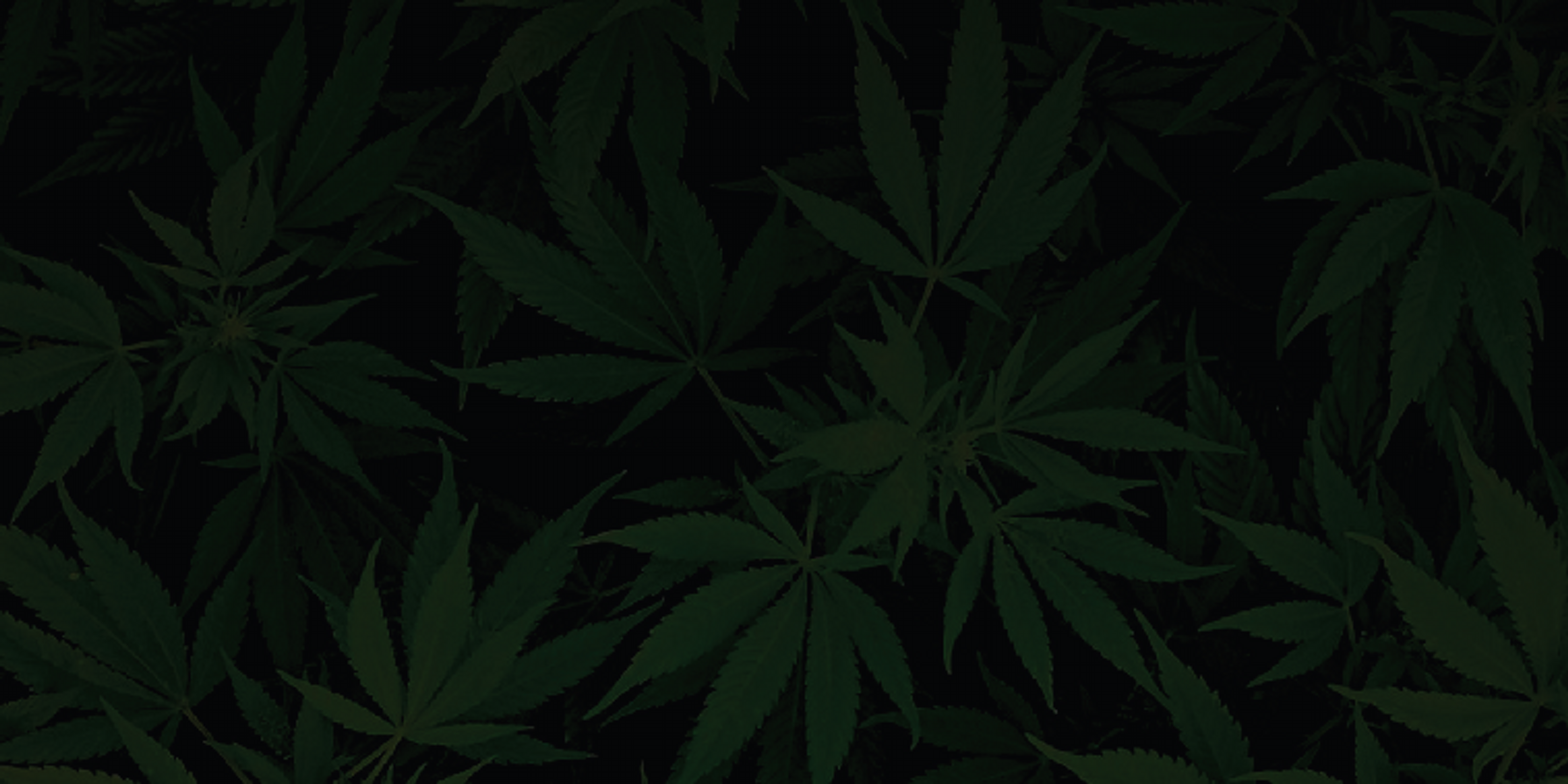 GoldLeafGardens's profile banner image