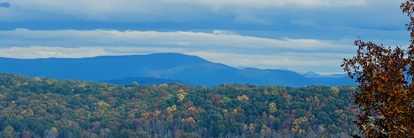 doree3338 Profile Banner