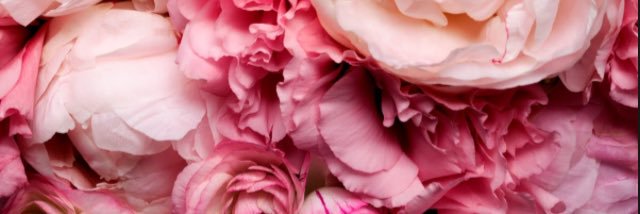 iHeartLABlush's profile banner image