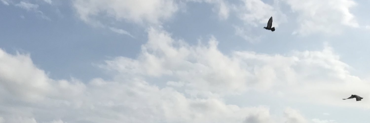 longliveforus's profile banner image