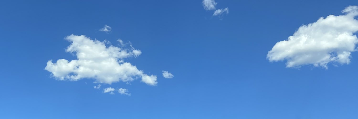 birdmoore's profile banner image
