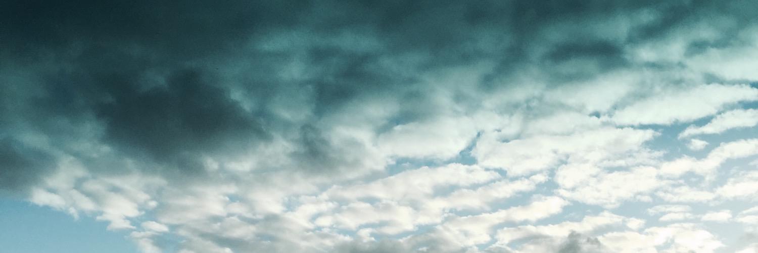 wordsandcats's profile banner image